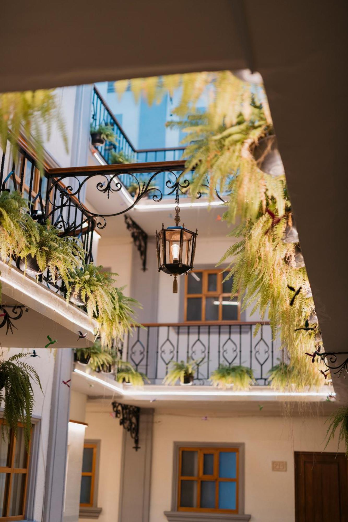Hotel Marques Del Valle Oaxaca Ngoại thất bức ảnh